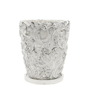 Aؔ  CARNAC/}VFg[WH zCg/MM06WHy01z K[fjOE|pi t[|bg Zg