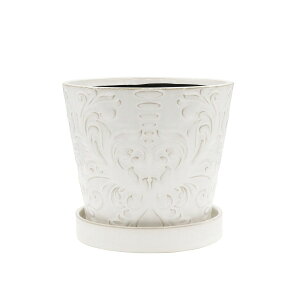 Aؔ  CARNAC/OVG02-L zCg/SD47y01z K[fjOE|pi t[|bg EZ~bN