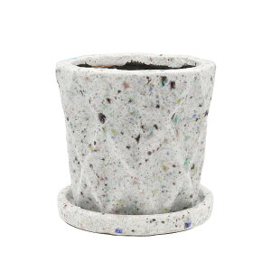 CARNAC/N}yCg|bg14/LAN037y01z K[fjOE|pi AؔEt[|bg eRb^(fĂ)