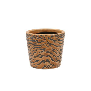 Aؔ  CARNAC/N}yCg|bg05/LAN028y01z[4] K[fjOE|pi t[|bg eRb^(fĂ)