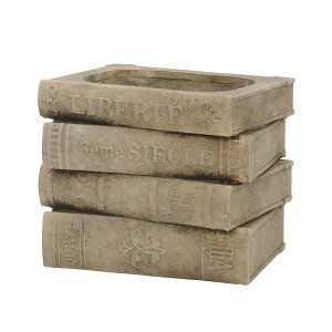 CARNAC/Be[WubNB-BR uE/GG2510BRy01z[4] K[fjOE|pi AؔEt[|bg Zg