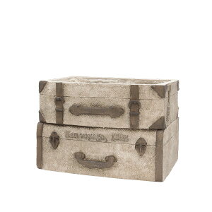 Aؔ  CARNAC/Be[WU[hDgNIV AC{[/GFB432IVy01z K[fjOE|pi t[|bg OXt@Co[