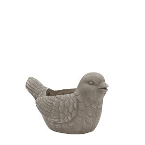 Aؔ  CARNAC/tHXgo[hBR uE/GFB444BRy01z K[fjOE|pi t[|bg OXt@Co[