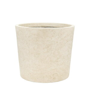 Jo[  CARNAC/}S[Xbg|bgJo[A-IV AC{[/ZQ11IVy01z K[fjOE|pi t[|bg Jo[