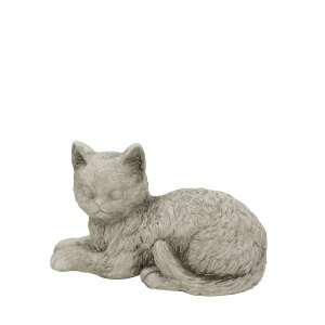 CARNAC/Be[WLbgB-IV AC{[/GR75IVy01z[4] K[fjOE|pi K[fjOG݁EI[ig uEI[ig