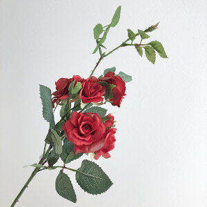 yԁzAXJ/[YsbN×7 bh/A-36112-2y01z ԁiA[eBtBVt[j  ԍށu͍sv o