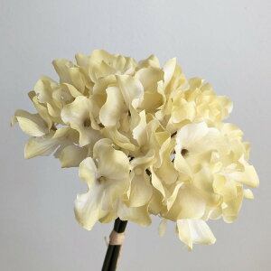 yԁzAXJ/nChWAo`(13{) _XeBCG[/A-34728-10Ky01z ԁiA[eBtBVt[j  ԍށusv izԁj