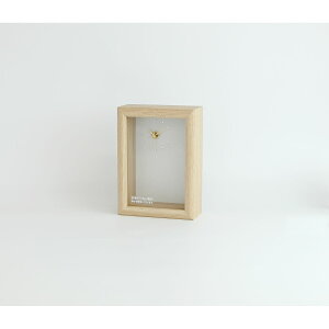 OrangeDeco/KBt[ ubNXNbNS NT/KJ0FC764y07z ԊA[X ԊEԕr ԎvENbNt[