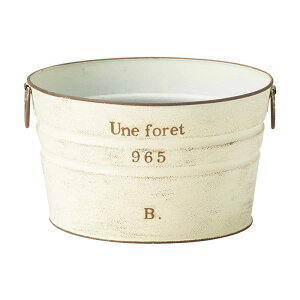 Aؔ  FV/ktHEhW/MA2508y01z K[fjOE|pi t[|bg ACAEuL