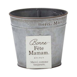 Aؔ  FV/{kv[gT[NSGY/MH1651y01z K[fjOE|pi t[|bg ACAEuL