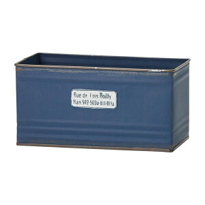 Aؔ  FV/C{ChBL/MH1561y01z K[fjOE|pi t[|bg ACAEuL