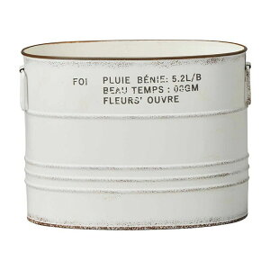 Aؔ  FV/tHg[I[oW/UE218y01z K[fjOE|pi t[|bg ACAEuL