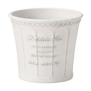 Aؔ  FV/tBfeT[NLW/MS1419y01z K[fjOE|pi t[|bg 