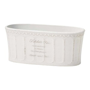 Aؔ  FV/tBfeI[oW/MS1437y01z K[fjOE|pi t[|bg 