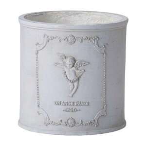 Aؔ  FV/AmWEhSGY/GF4951y01z K[fjOE|pi t[|bg OXt@Co[