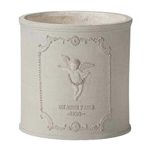 Aؔ  FV/AmWEhMBE/GF4954y01z K[fjOE|pi t[|bg OXt@Co[