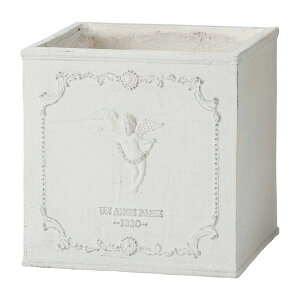 Aؔ  FV/AmWXNGAMW/GF4956y01z K[fjOE|pi t[|bg OXt@Co[