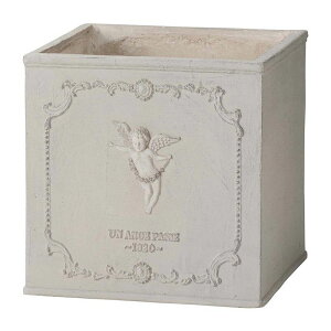 Aؔ  FV/AmWXNGASBE/GF4959y01z K[fjOE|pi t[|bg OXt@Co[