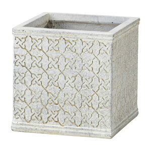 Aؔ  FV/N[XNGASAW/GF5246y01z K[fjOE|pi t[|bg OXt@Co[