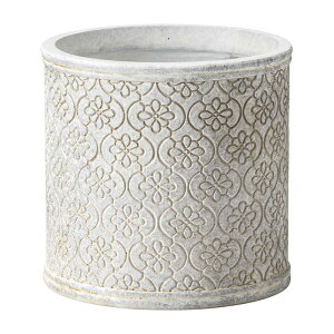 Aؔ  FV/bJT[NSAW/GF5225y01z K[fjOE|pi t[|bg OXt@Co[