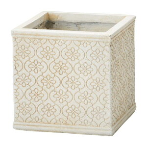 FV/bJXNGAMW/GF5230y01z K[fjOE|pi AؔEt[|bg OXt@Co[