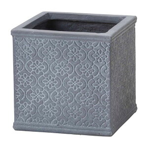 Aؔ  FV/bJXNGAMGY/GF5234y01z K[fjOE|pi t[|bg OXt@Co[