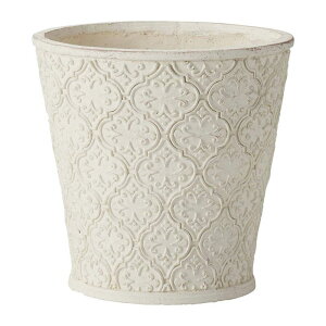 Aؔ  FV/AxXNT[NMW/GF4921y01z K[fjOE|pi t[|bg OXt@Co[