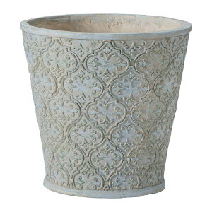 Aؔ  FV/AxXNT[NSBL/GF4922y01z K[fjOE|pi t[|bg OXt@Co[