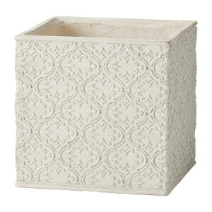 Aؔ  FV/AxXNXNGASW/GF4928y01z K[fjOE|pi t[|bg OXt@Co[