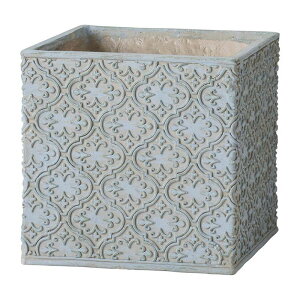 Aؔ  FV/AxXNXNGASBL/GF4930y01z K[fjOE|pi t[|bg OXt@Co[