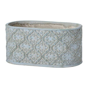 Aؔ  FV/AxXNI[oBL/GF4937y01z K[fjOE|pi t[|bg OXt@Co[