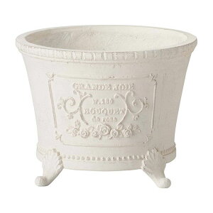 Aؔ  FV/OWT[NMW/GF4900y01z K[fjOE|pi t[|bg OXt@Co[