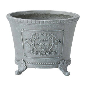 Aؔ  FV/OWT[NSGY/GF4901y01z K[fjOE|pi t[|bg OXt@Co[