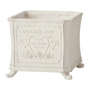 Aؔ  FV/OW{bNXW/GF4905y01z K[fjOE|pi t[|bg OXt@Co[