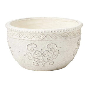 Aؔ  FV/Z}EhSW/GF1828y01z K[fjOE|pi t[|bg OXt@Co[