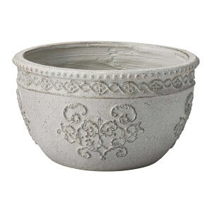 Aؔ  FV/Z}EhSGY/GF1830y01z K[fjOE|pi t[|bg OXt@Co[