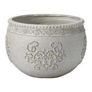 Aؔ  FV/Z}{EGY/GF1835y01z K[fjOE|pi t[|bg OXt@Co[