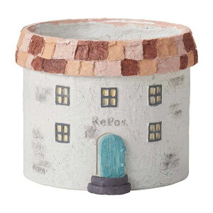 Aؔ  FV/|]T[NM/GF4972y01z K[fjOE|pi t[|bg OXt@Co[