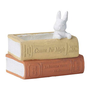 Aؔ  FV/[up|bgY/GF4942y01z K[fjOE|pi t[|bg OXt@Co[