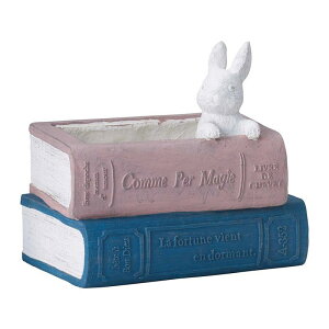 Aؔ  FV/[up|bgP/GF4943y01z K[fjOE|pi t[|bg OXt@Co[