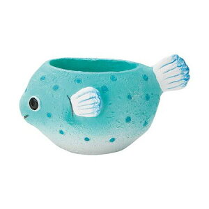 Aؔ  FV/pt|bgBL/5E4380y01z K[fjOE|pi t[|bg W