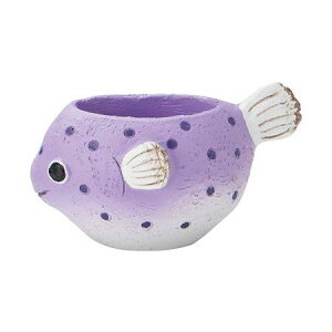 Aؔ  FV/pt|bgV/5E4381y01z K[fjOE|pi t[|bg W