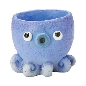 Aؔ  FV/v[v|bgBL/5E4382y01z K[fjOE|pi t[|bg W