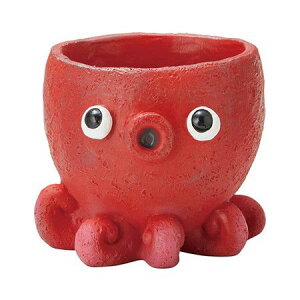 Aؔ  FV/v[v|bgR/5E4383y01z K[fjOE|pi t[|bg W