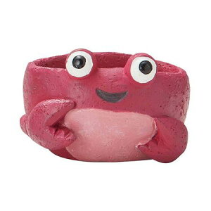 Aؔ  FV/Nu|bg/5E4384y01z K[fjOE|pi t[|bg W