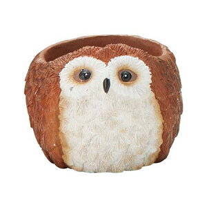 Aؔ  FV/Cu[X^h|bg/5E4376y01z K[fjOE|pi t[|bg W