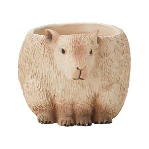 Aؔ  FV/JsoX^h|bg/5E4378y01z K[fjOE|pi t[|bg W