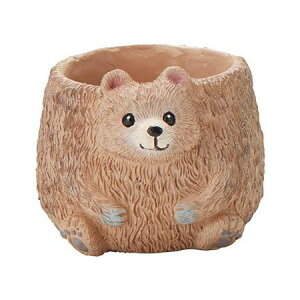 Aؔ  FV/EXX^h|bg/5E4379y01z K[fjOE|pi t[|bg W