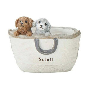 Aؔ  FV/JjbVTbN|bgW/5E4357y01z K[fjOE|pi t[|bg W