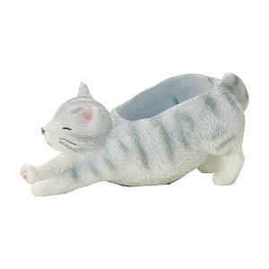 Aؔ  FV/GeBV|bg/5E4360y01z K[fjOE|pi t[|bg W